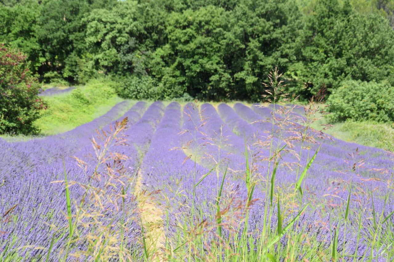 Saint-MontanGite Les Tilleuls别墅 外观 照片
